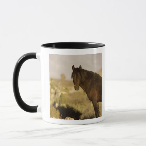 Wild Mustang stallion Wheeler Peak herd Cold Mug