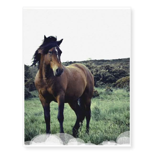 Wild Mustang Temporary Tattoos (Front)