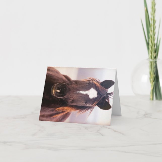 Wild Mustange Oklahoma Thank You Card (Front)