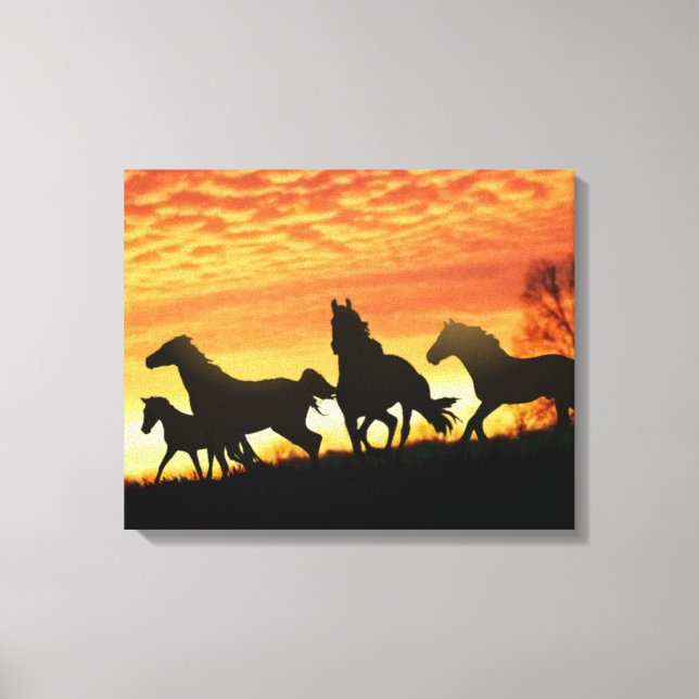 Wild Mustangs Canvas Print (Front)