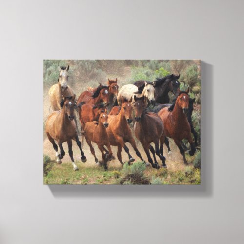 Wild Mustangs Canvas Print