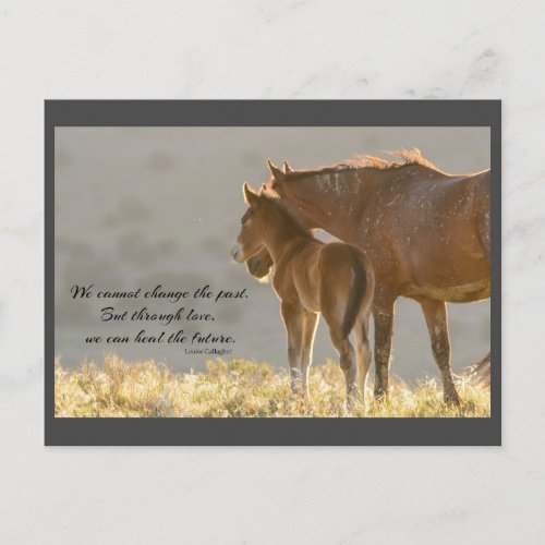 Wild Mustangs Forever Postcard