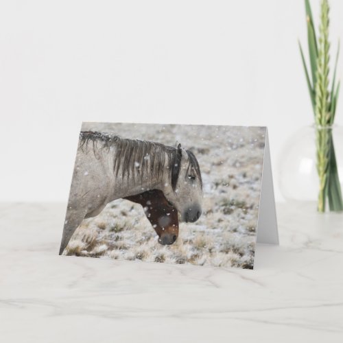 Wild Mustangs in the Snow card