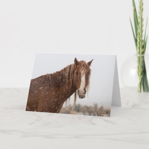 Wild Mustangs in the Snow Card