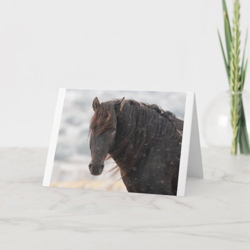 Wild Mustangs in the Snow card