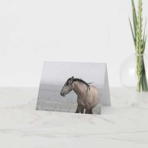 Wild Mustangs in the Snow card