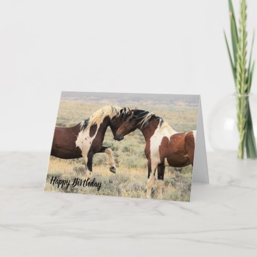 Wild Mustangs of the West Birthday Card