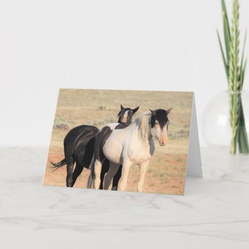 Wild Mustangs of the West Card