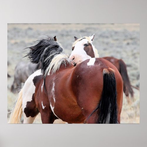 Wild Mustangs of the West Poster