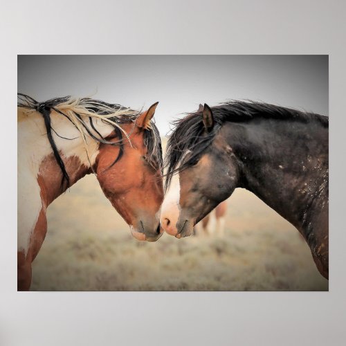 Wild Mustangs of the West Poster