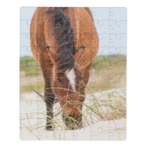 Wild Mustangs or Banker Horses Jigsaw Puzzle