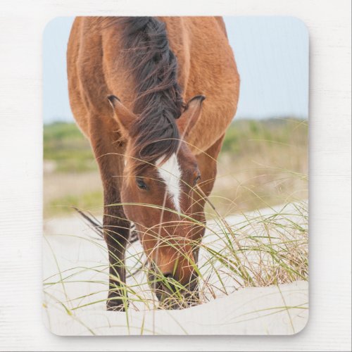 Wild Mustangs or Banker Horses Mouse Pad