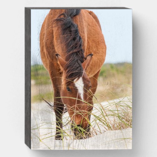 Wild Mustangs or Banker Horses Wooden Box Sign