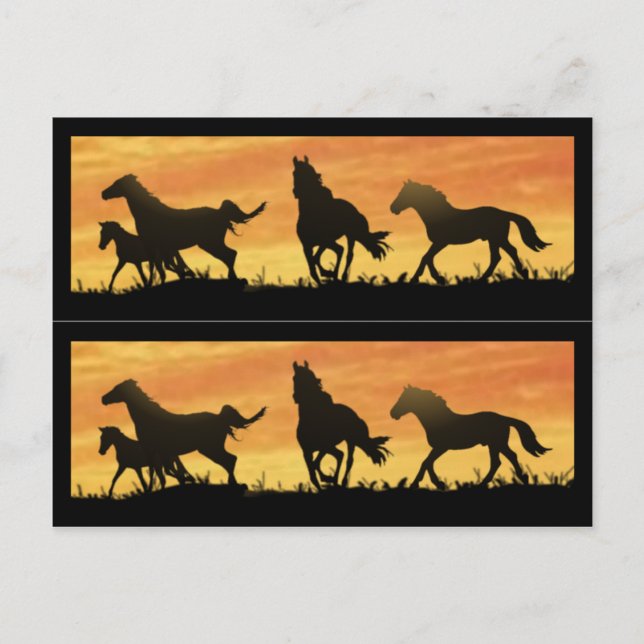 Wild Mustangs Postcard (Front)