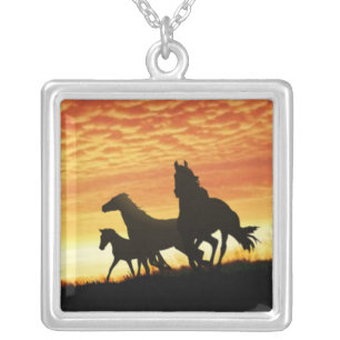 Wild Mustangs Silver Plated Necklace