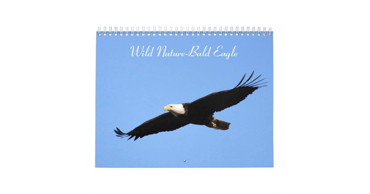 Wild Nature Bald Eagle Calendar Zazzle
