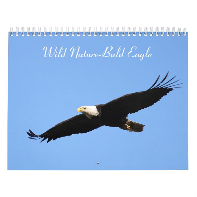 Wild Nature-Bald Eagle Photo Calendar (Cover)