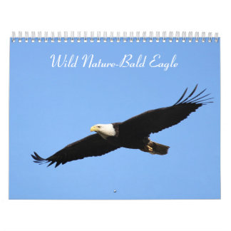 Wild Nature-Bald Eagle Photo Calendar
