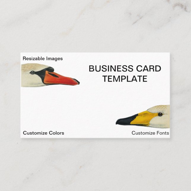 Wild Nature Faces of a Swan  Business Card (Front)