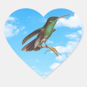 Wild Nature I love Hummingbirds Heart Sticker