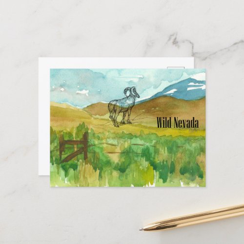 Wild Nevada Bighorn Sheep Desert Landscape  Postcard