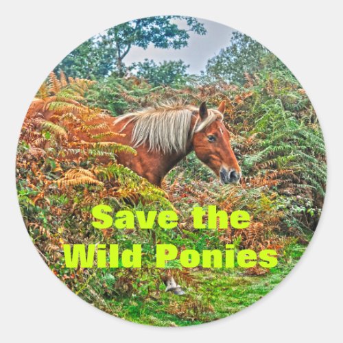 Wild New Forest Pony Horse_lovers Gift Classic Round Sticker