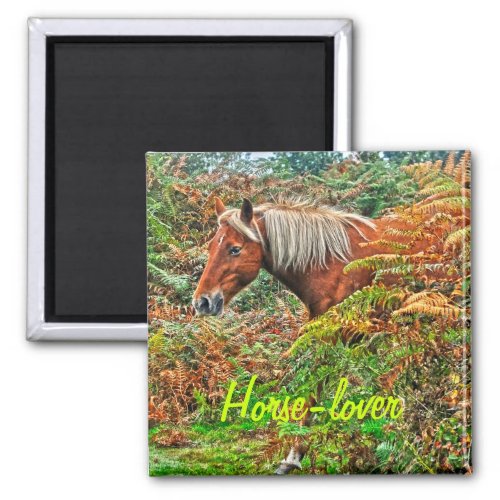 Wild New Forest Pony Horse_lovers Gift Magnet
