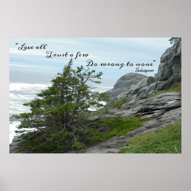 Wild Ocean Sea Shakespeare Do wrong to none Poster (Front)