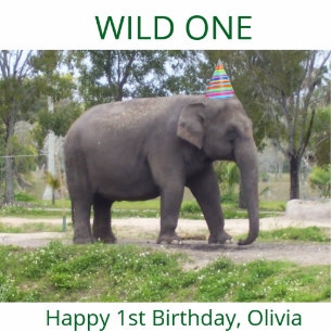 Wild One Elephant 1st birthday  Cutout