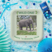 Wild One Elephant First Birthday Celebration