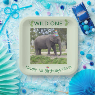 Wild One Elephant First Birthday Celebration Paper Plates