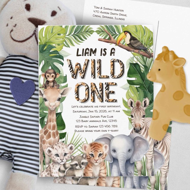 Wild one Jungle Safari themed boy 1st birthday Invitation Postcard (Hes a wild one, boy 1st birthday postcard invitation.)