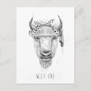 Wild one postcard