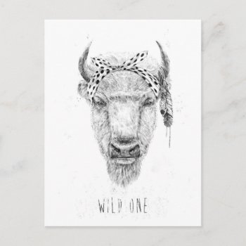 Wild One Postcard by bsolti at Zazzle