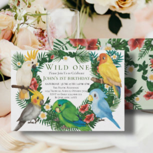 Wild One Tropical Exotic Parrots Boy 1st Birthday Invitation