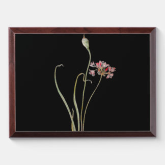 Wild Onion Award Plaque