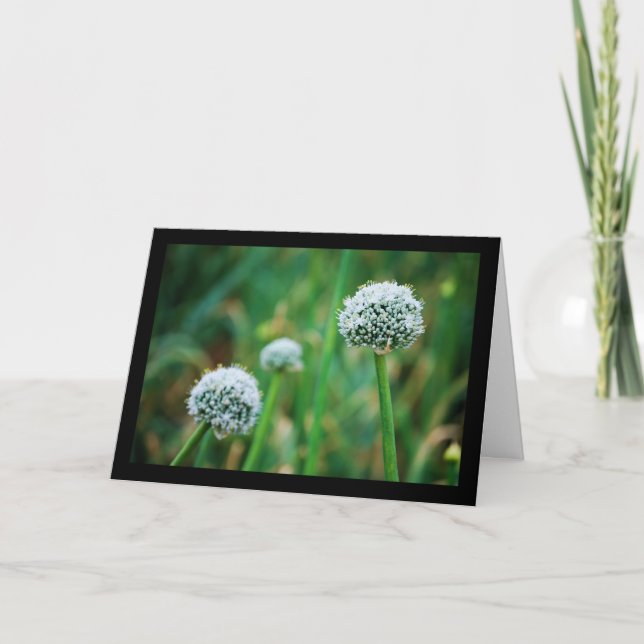 Wild Onion Blossom Card (Front)