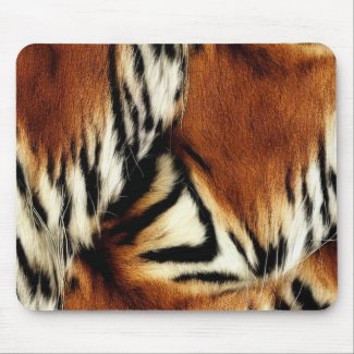 Wild Orange and White Tiger Stripes