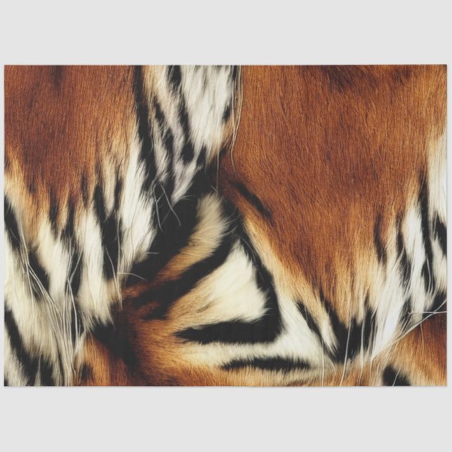 Wild Orange and White Tiger Stripes Tissue Paper (Front)