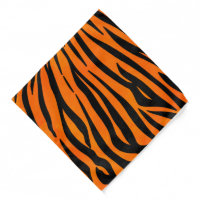 '9 Orange & Black Bengal Tiger Stripes' Square Magnet