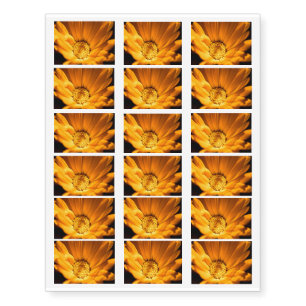 Wild Orange Daisy Temporary Tattoos