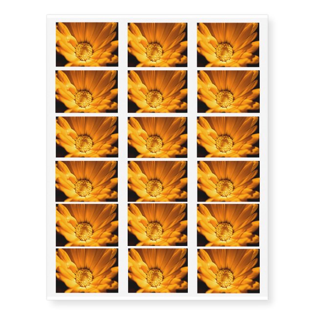 Wild Orange Daisy Temporary Tattoos (Front)
