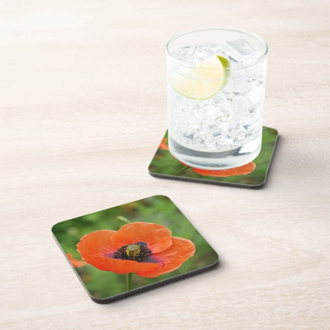 Wild Orange Poppy Flower (NZ) Set of 6 Drink Coaster (Right Side)