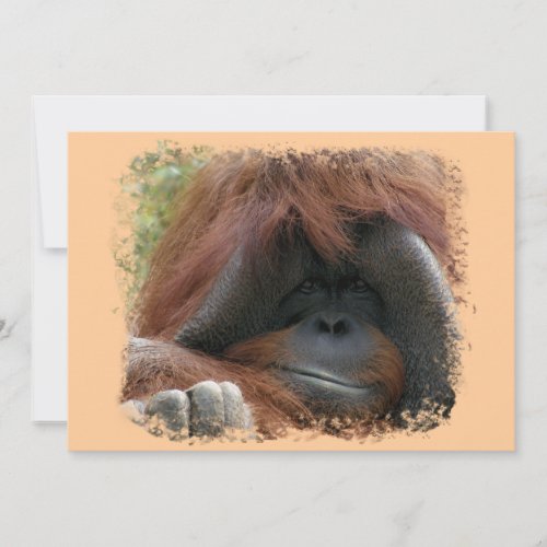Wild Orangutan Birthday Party Invites