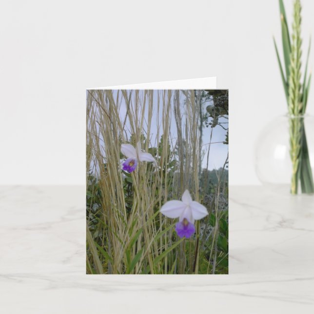 Wild Orchid Notecards, Big Island, Hawaii Card (Front)