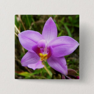 Wild Orchid Purple Tropical Flower Button