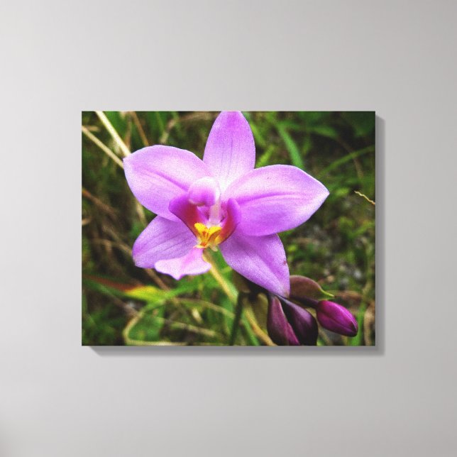 Wild Orchid Purple Tropical Flower Canvas Print (Front)
