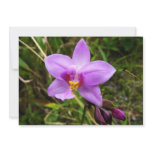 Wild Orchid Purple Tropical Flower Card