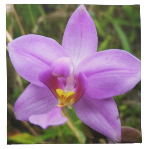 Wild Orchid Purple Tropical Flower Cloth Napkin