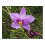 Wild Orchid Purple Tropical Flower Jigsaw Puzzle